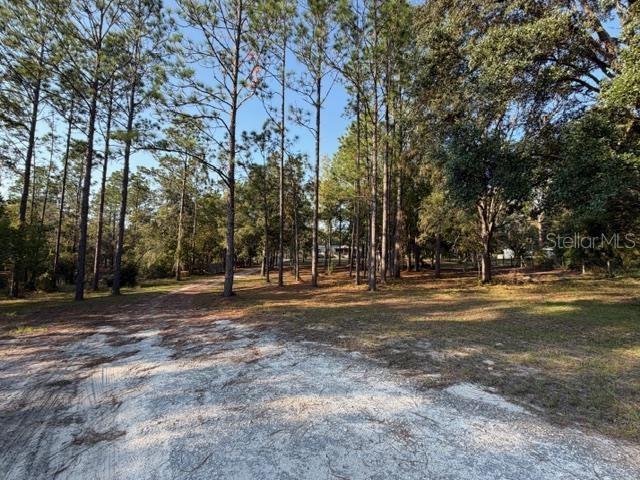 2710 NW COUNTY ROAD 340, BELL, FL, 32619