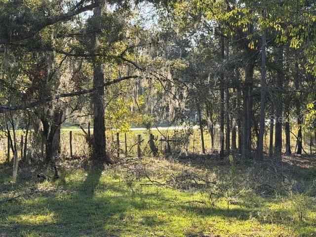 2710 NW COUNTY ROAD 340, BELL, FL, 32619