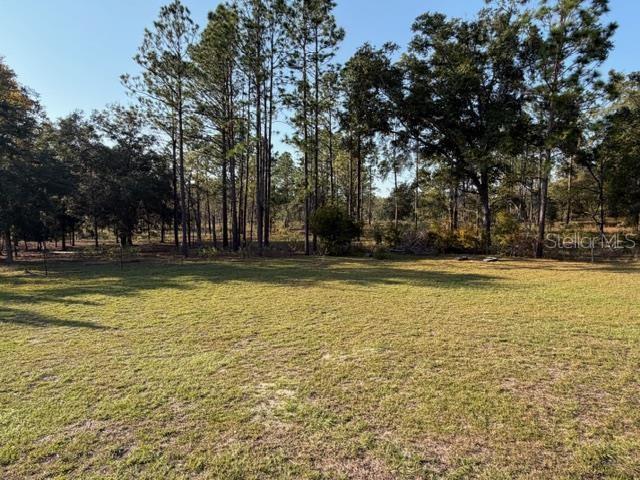 2710 NW COUNTY ROAD 340, BELL, FL, 32619