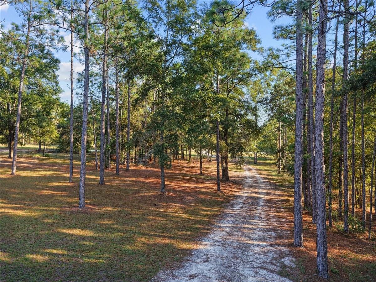 2710 NW COUNTY ROAD 340, BELL, FL, 32619