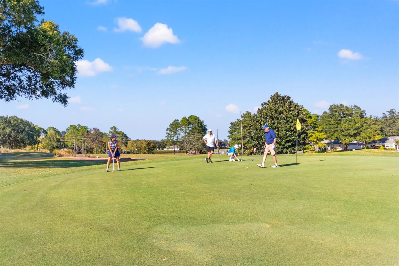 9088 SW 95TH AVE, OCALA, FL, 34481