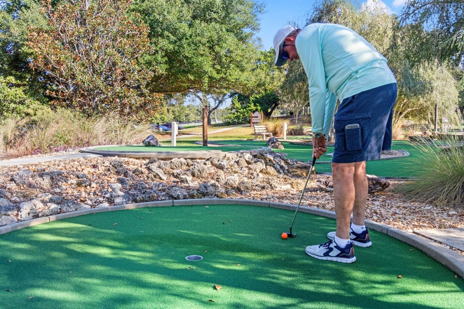 9088 SW 95TH AVE, OCALA, FL, 34481