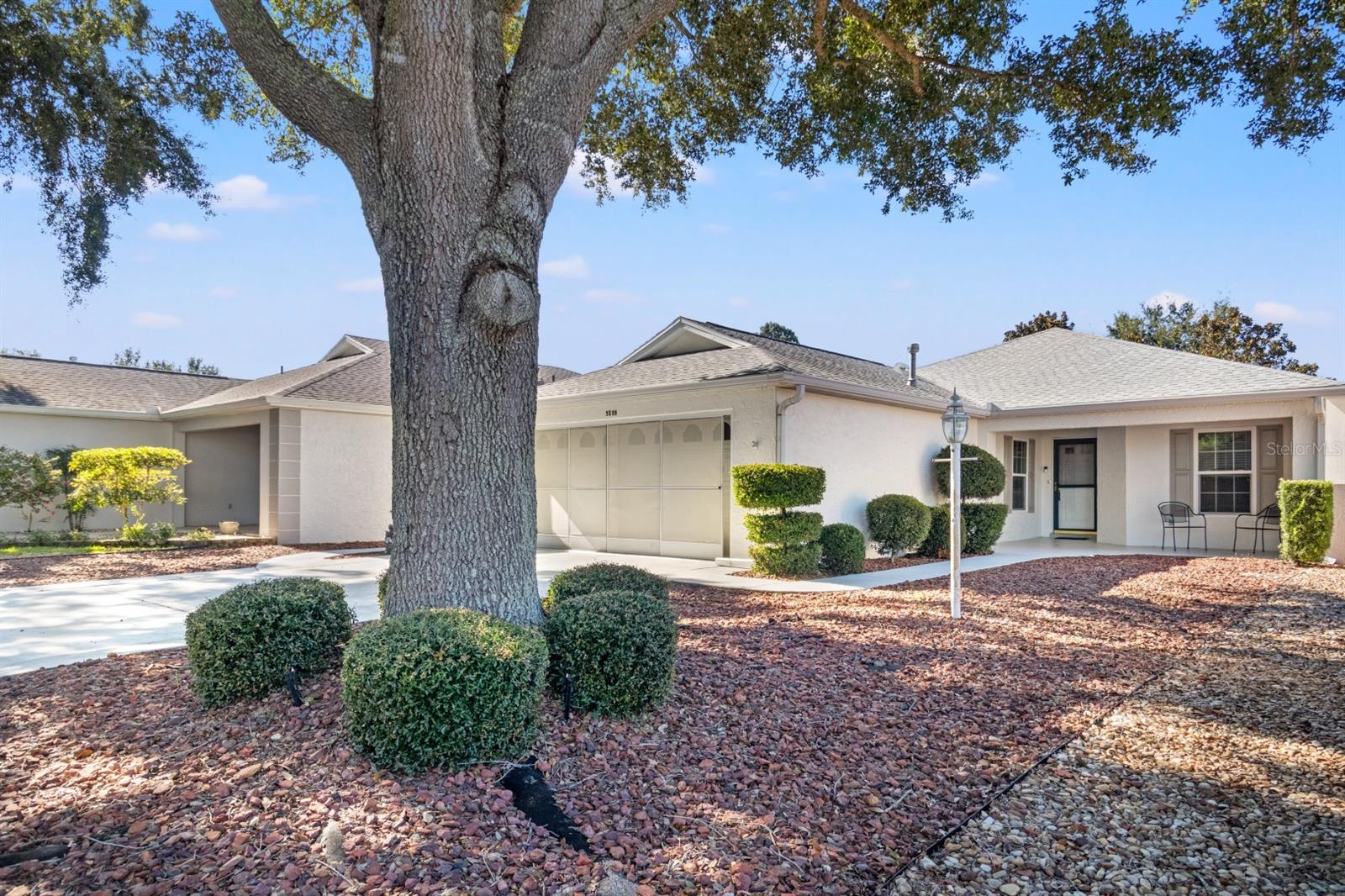 9088 SW 95TH AVE, OCALA, FL, 34481