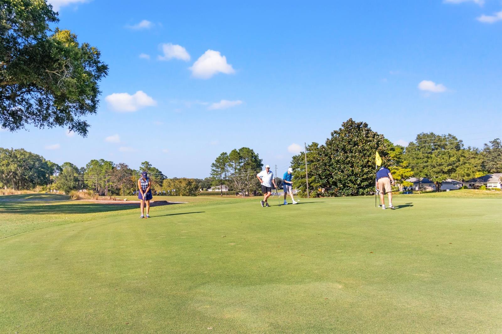 9088 SW 95TH AVE, OCALA, FL, 34481