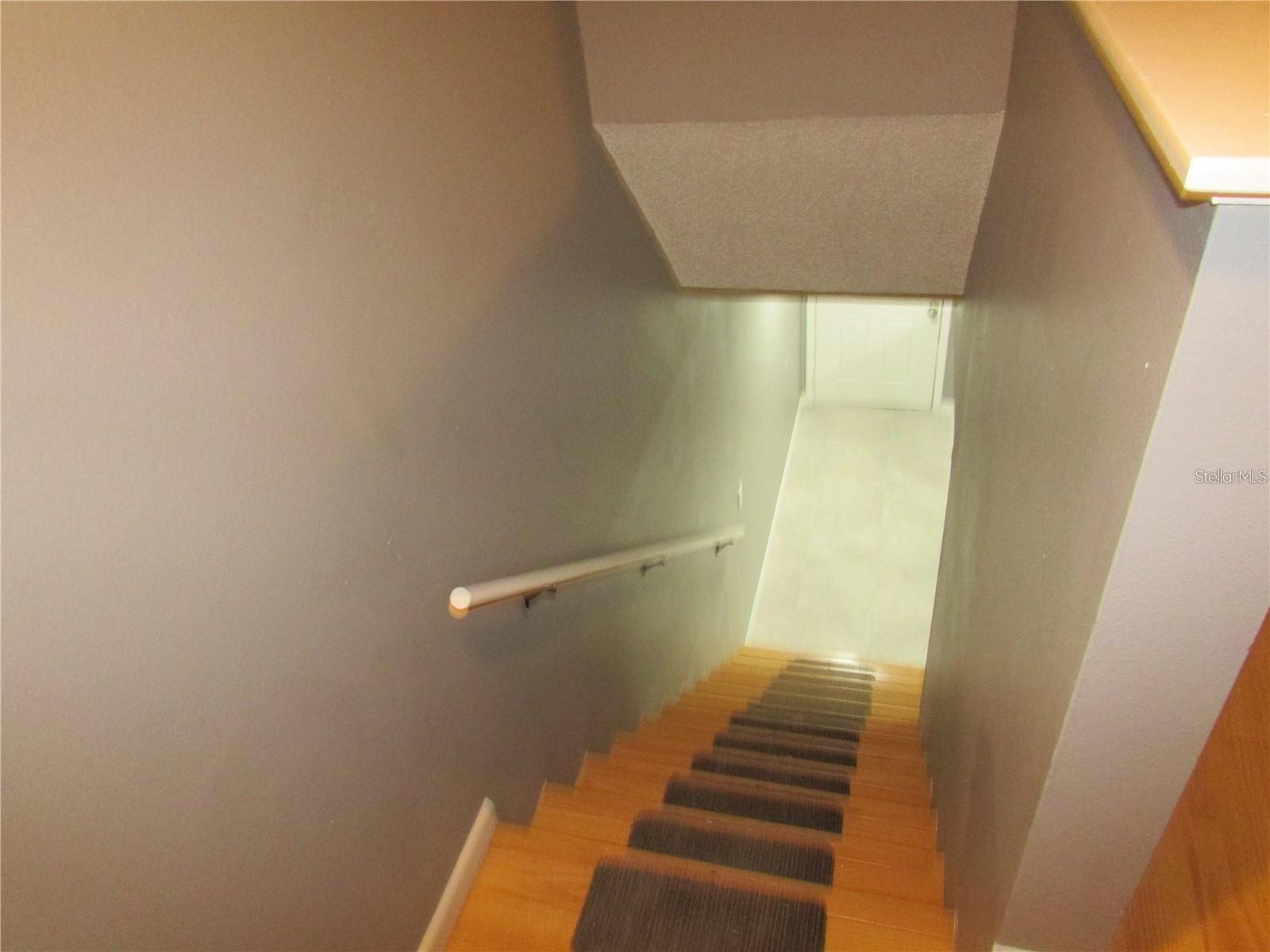 5305 ABINGER CT, TAMPA, FL, 33624