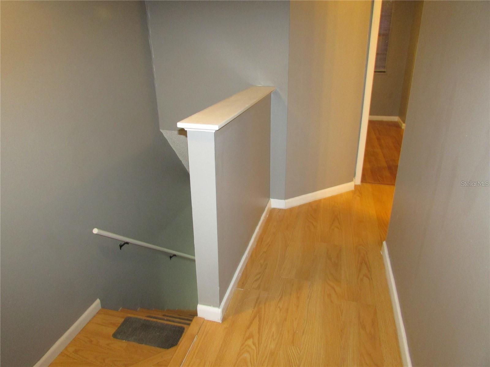 5305 ABINGER CT, TAMPA, FL, 33624