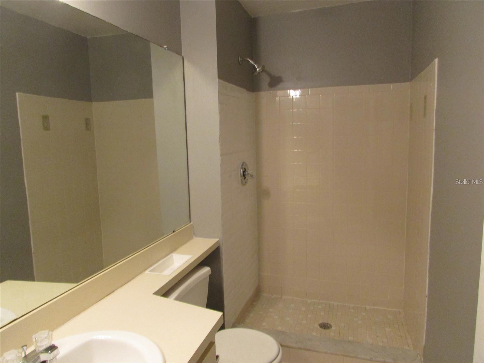 5305 ABINGER CT, TAMPA, FL, 33624