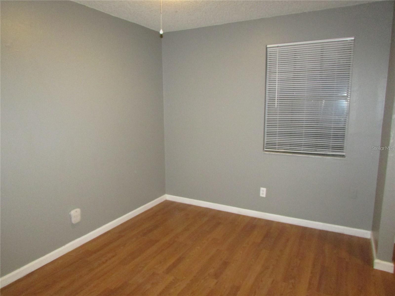 5305 ABINGER CT, TAMPA, FL, 33624