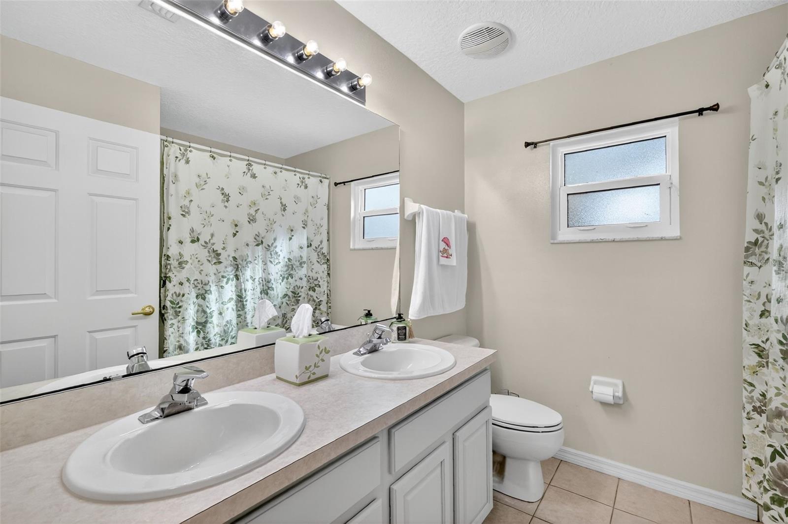 33043 WINDY OAK ST, SORRENTO, FL, 32776