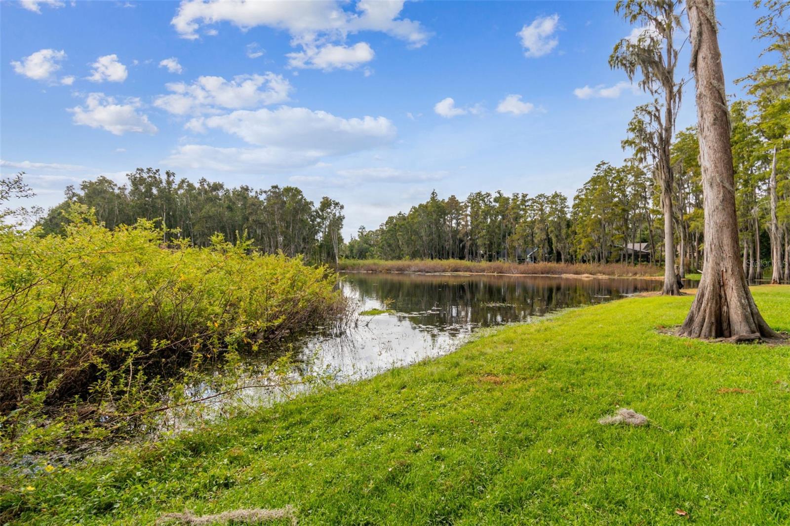 210 LAKE HOBBS RD, LUTZ, FL, 33548