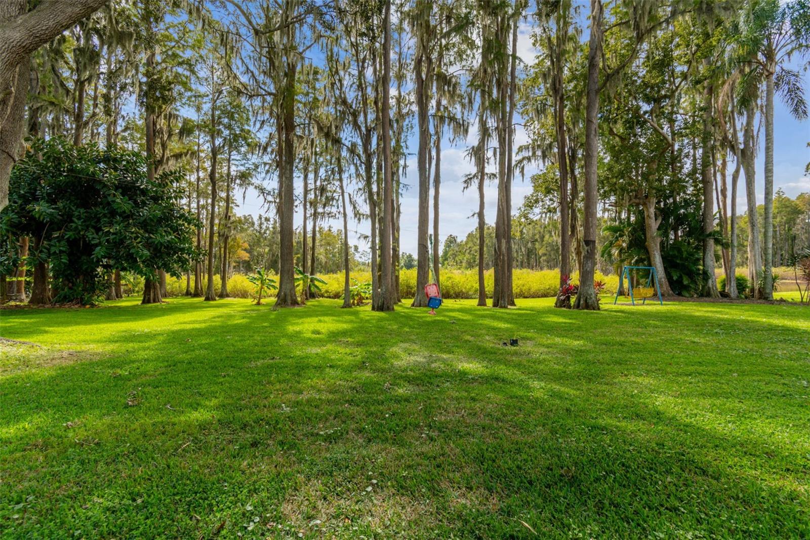 210 LAKE HOBBS RD, LUTZ, FL, 33548