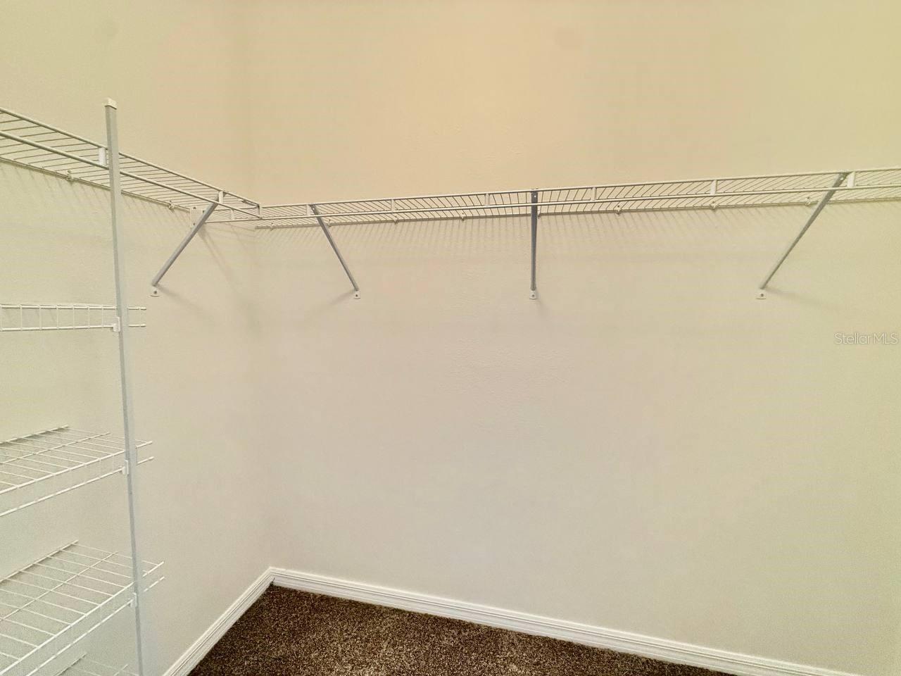 31591 TANSY BND, WESLEY CHAPEL, FL, 33545