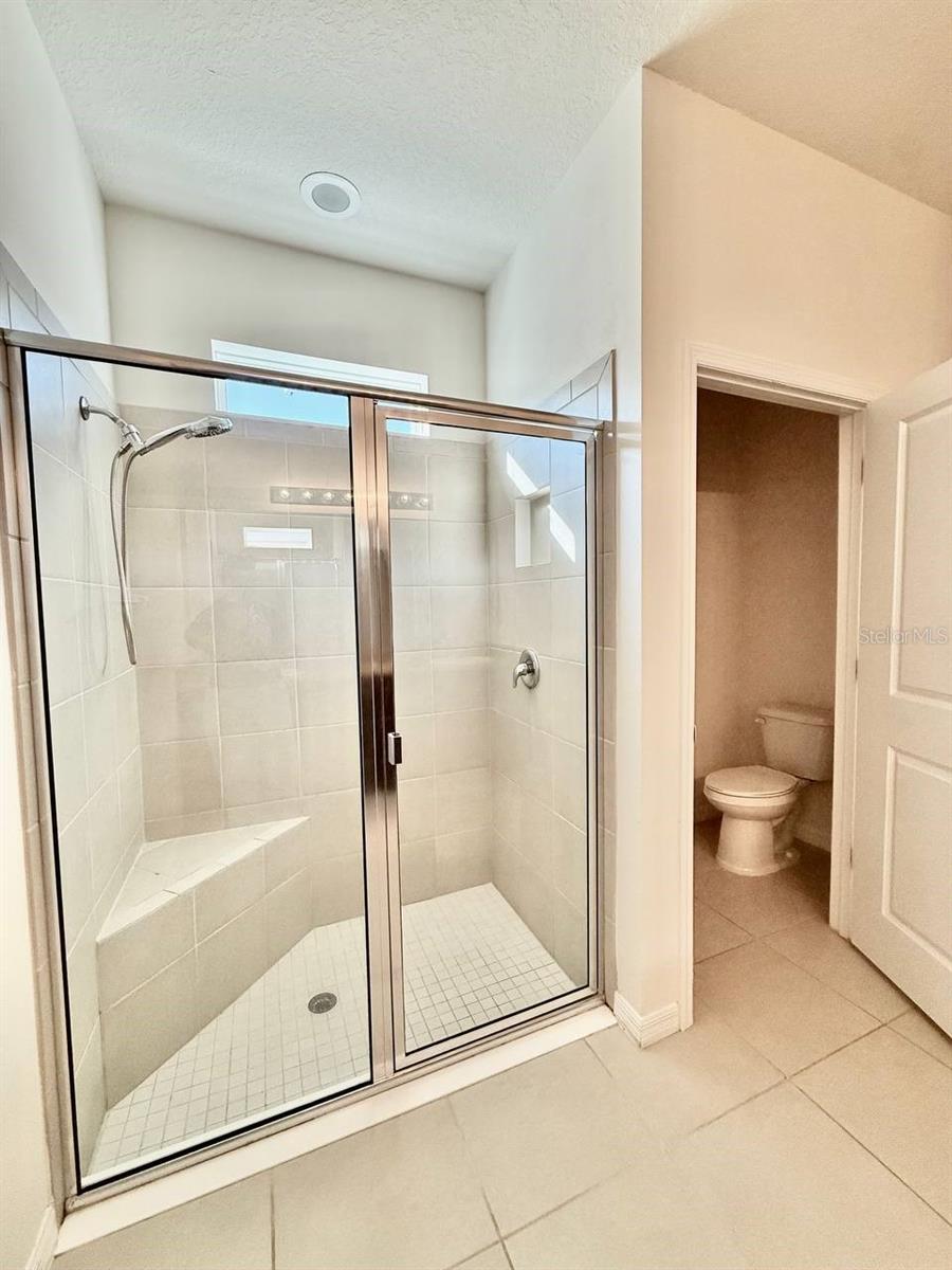 31591 TANSY BND, WESLEY CHAPEL, FL, 33545