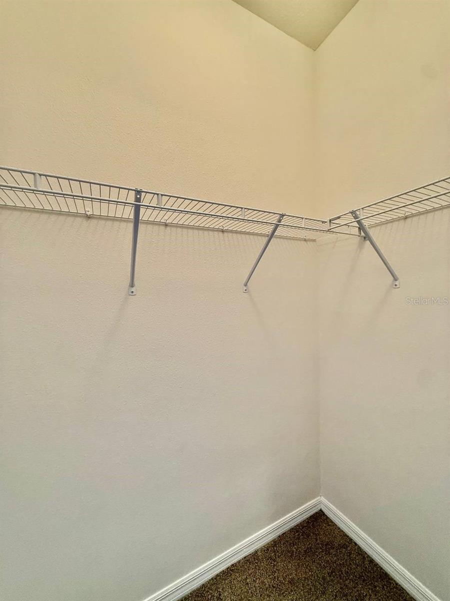 31591 TANSY BND, WESLEY CHAPEL, FL, 33545