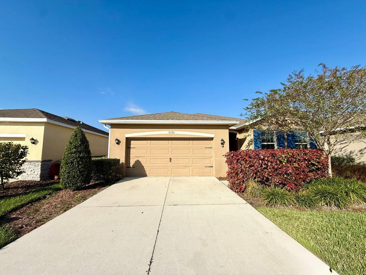 31591 TANSY BND, WESLEY CHAPEL, FL, 33545