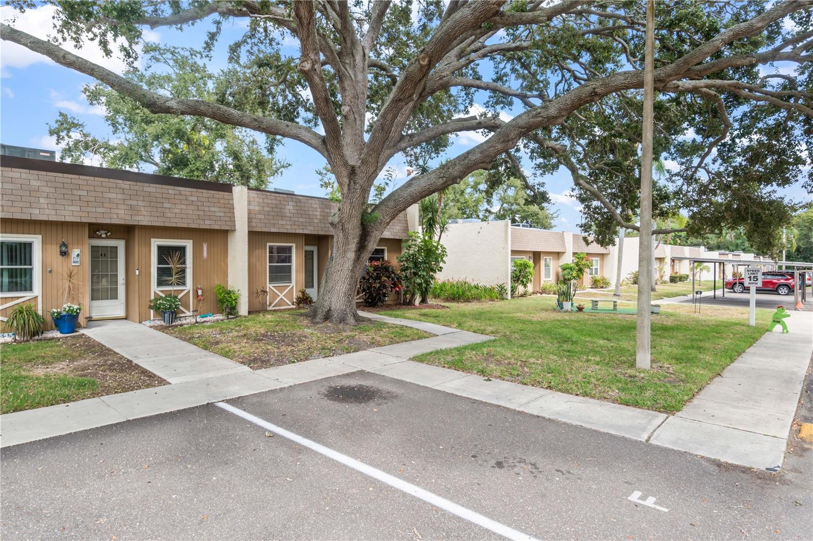 11511 113TH ST #4F, LARGO, FL, 33778