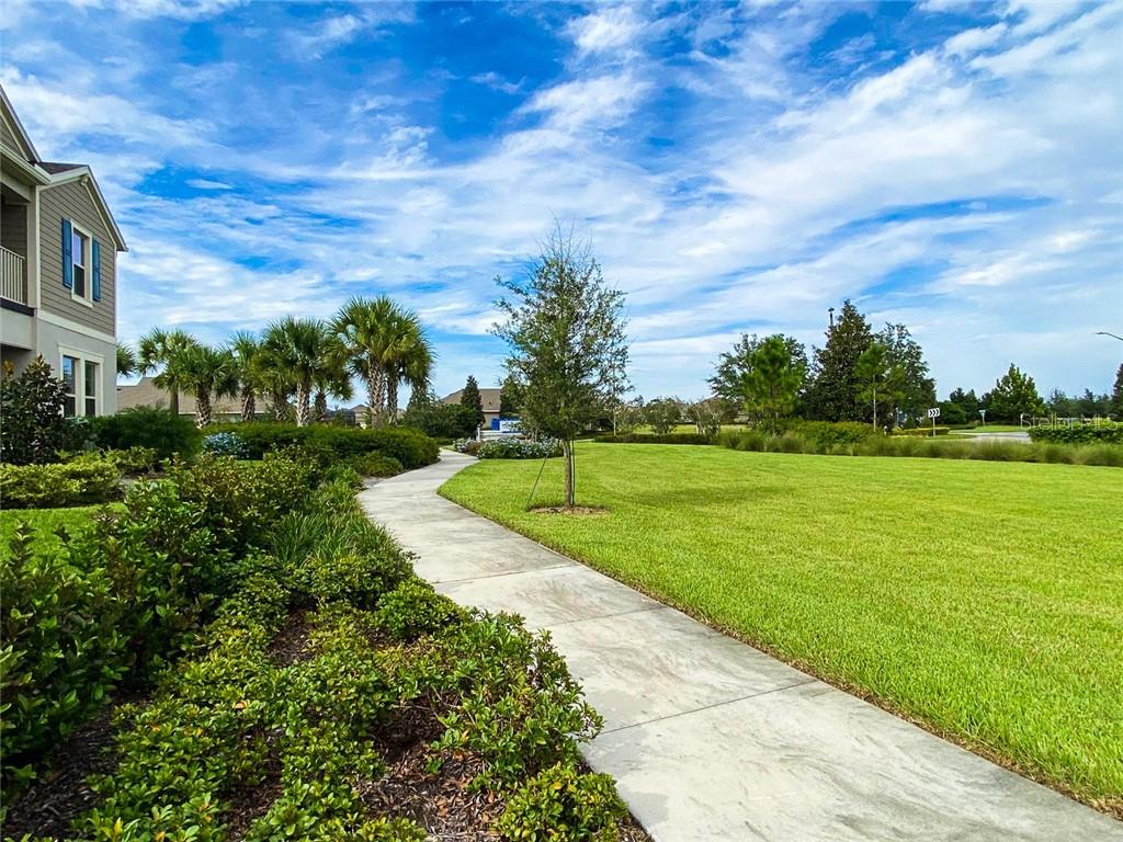 10119 AUDUBON TRACE ALY, WINTER GARDEN, FL, 34787