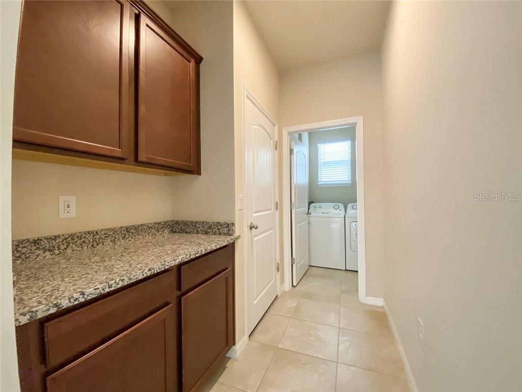 10119 AUDUBON TRACE ALY, WINTER GARDEN, FL, 34787