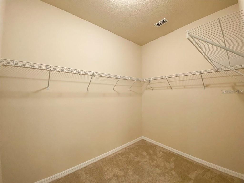 10119 AUDUBON TRACE ALY, WINTER GARDEN, FL, 34787