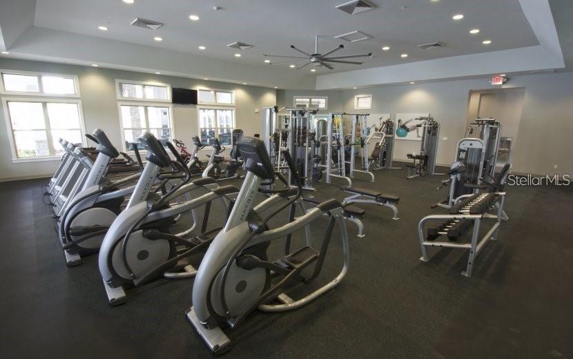 10119 AUDUBON TRACE ALY, WINTER GARDEN, FL, 34787