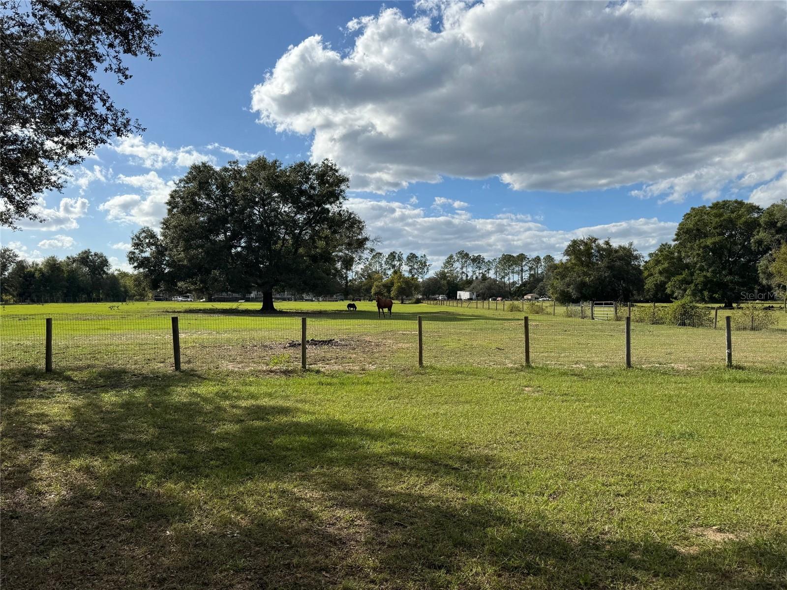 17740 SE 294TH COURT RD, UMATILLA, FL, 32784