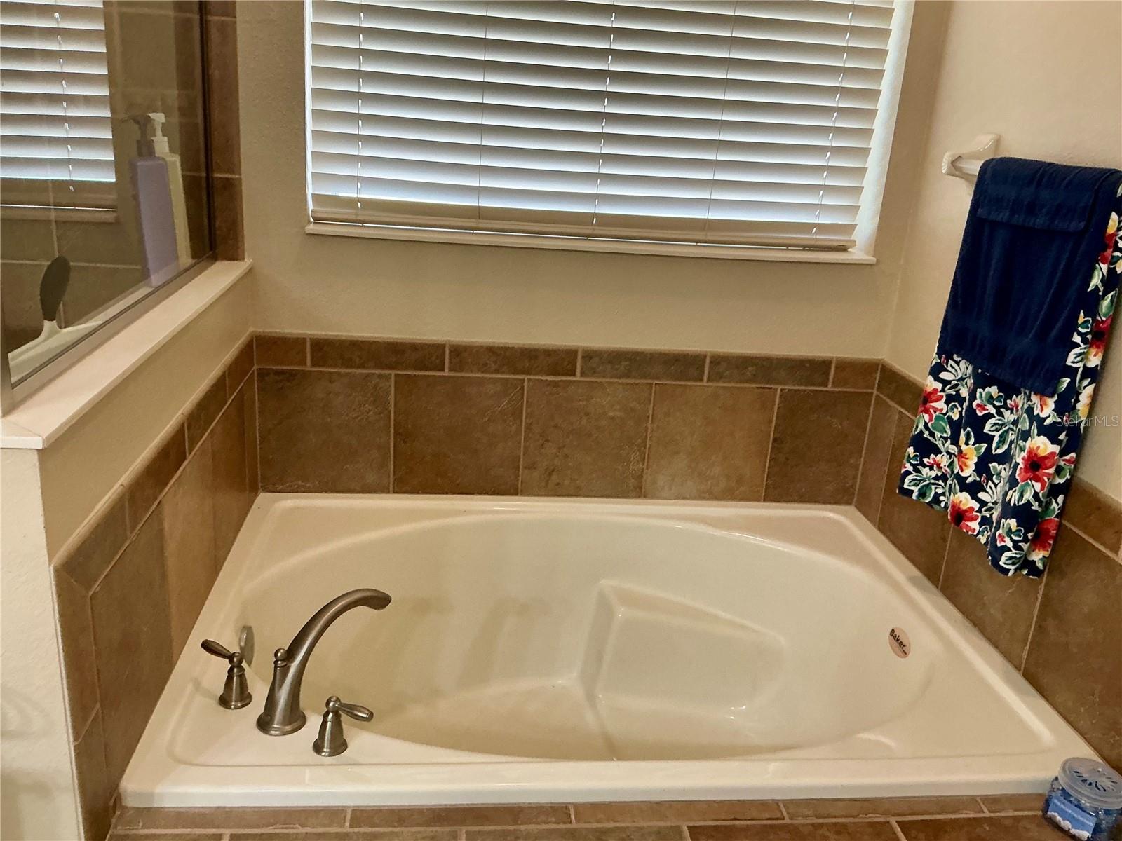 22035 BELGIAN CT, MOUNT DORA, FL, 32757