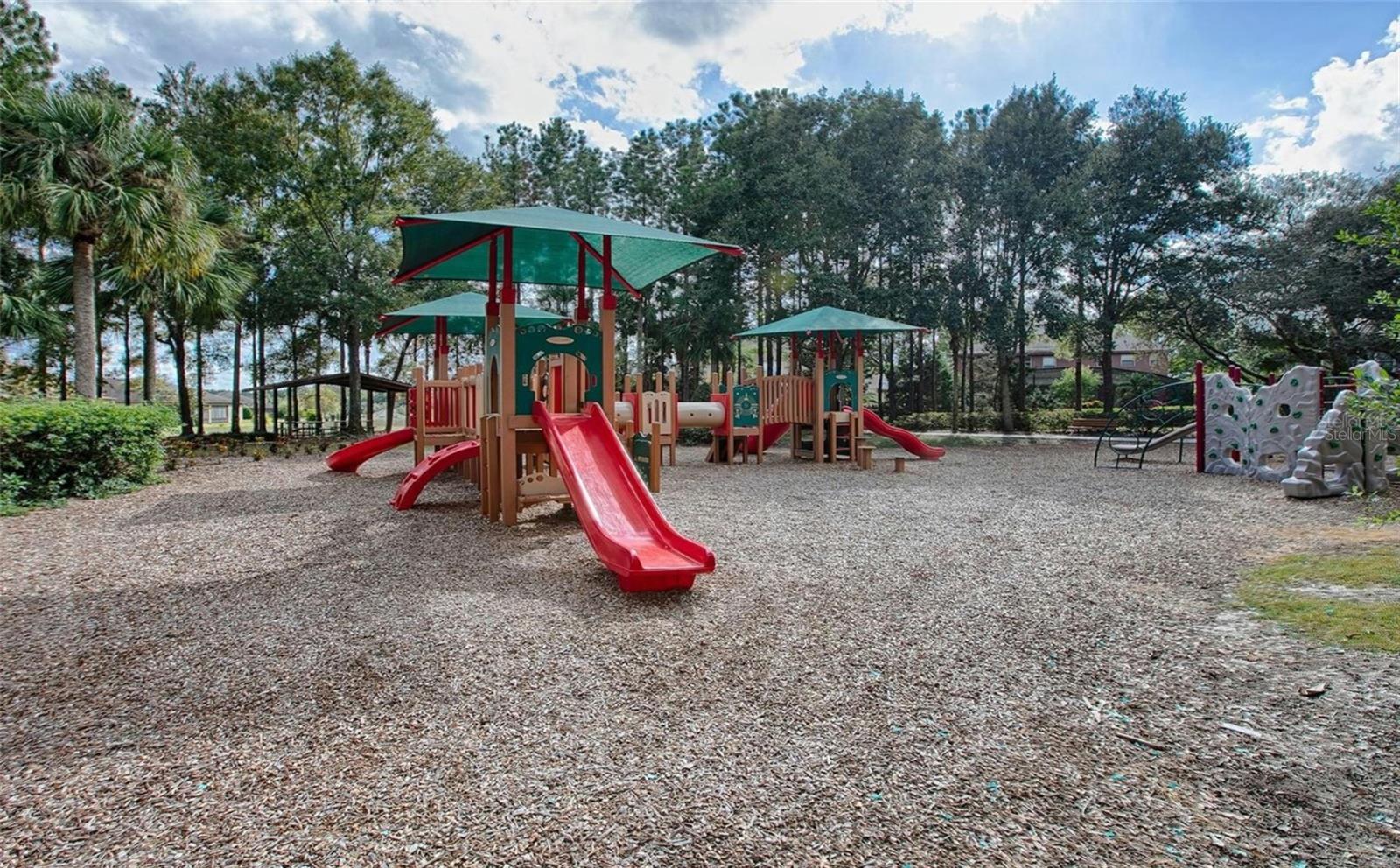 22035 BELGIAN CT, MOUNT DORA, FL, 32757