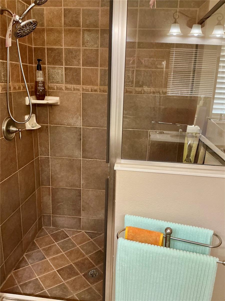 22035 BELGIAN CT, MOUNT DORA, FL, 32757