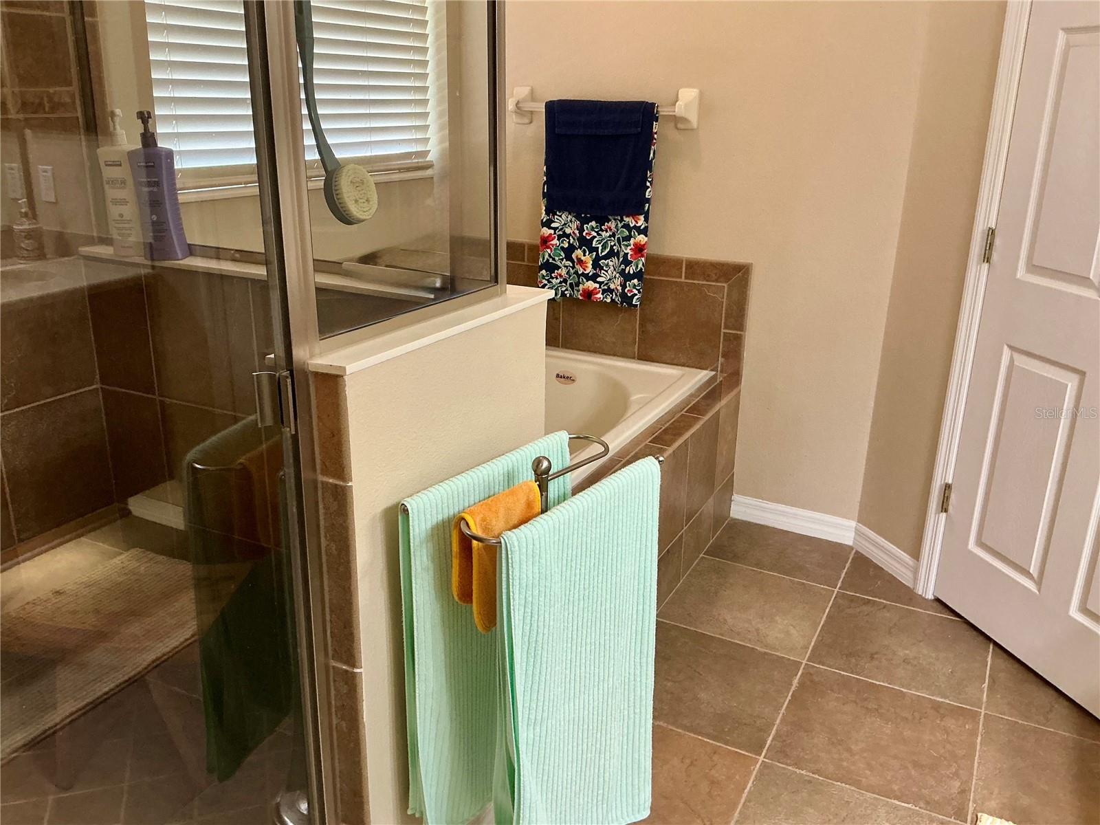 22035 BELGIAN CT, MOUNT DORA, FL, 32757