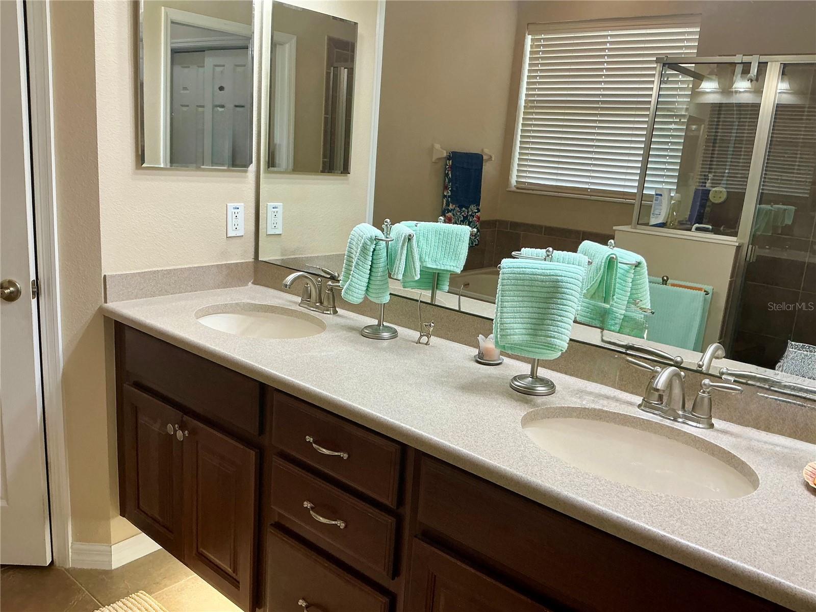 22035 BELGIAN CT, MOUNT DORA, FL, 32757