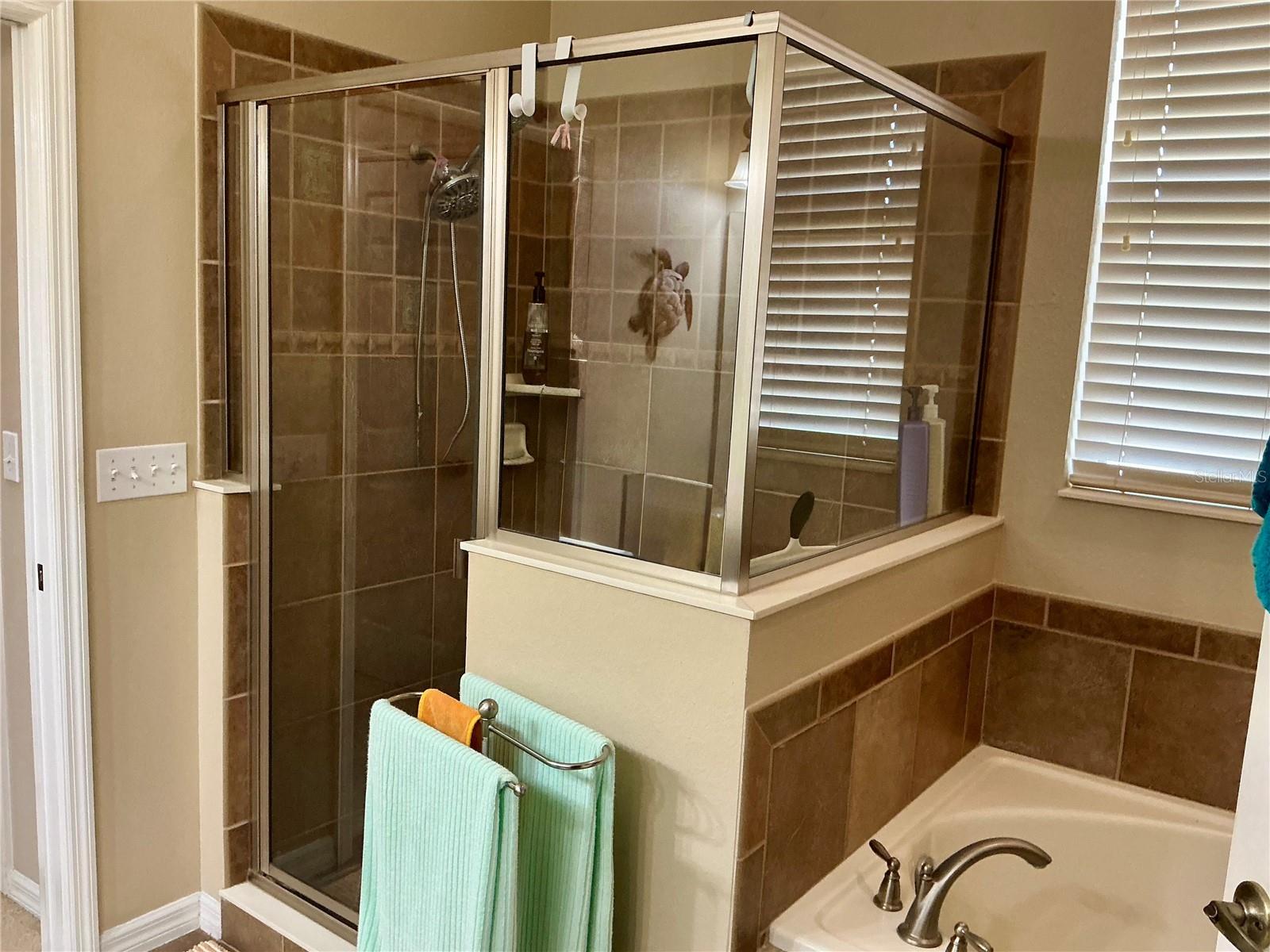 22035 BELGIAN CT, MOUNT DORA, FL, 32757