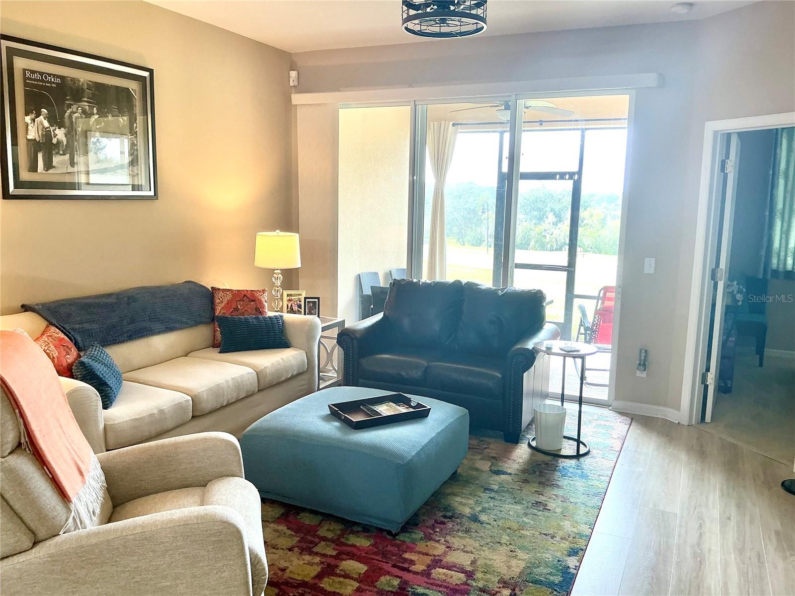 22035 BELGIAN CT, MOUNT DORA, FL, 32757