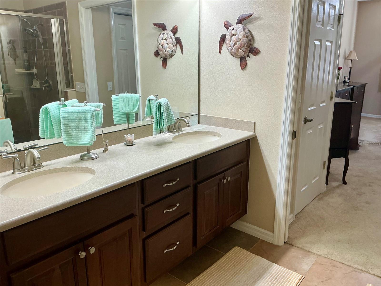 22035 BELGIAN CT, MOUNT DORA, FL, 32757