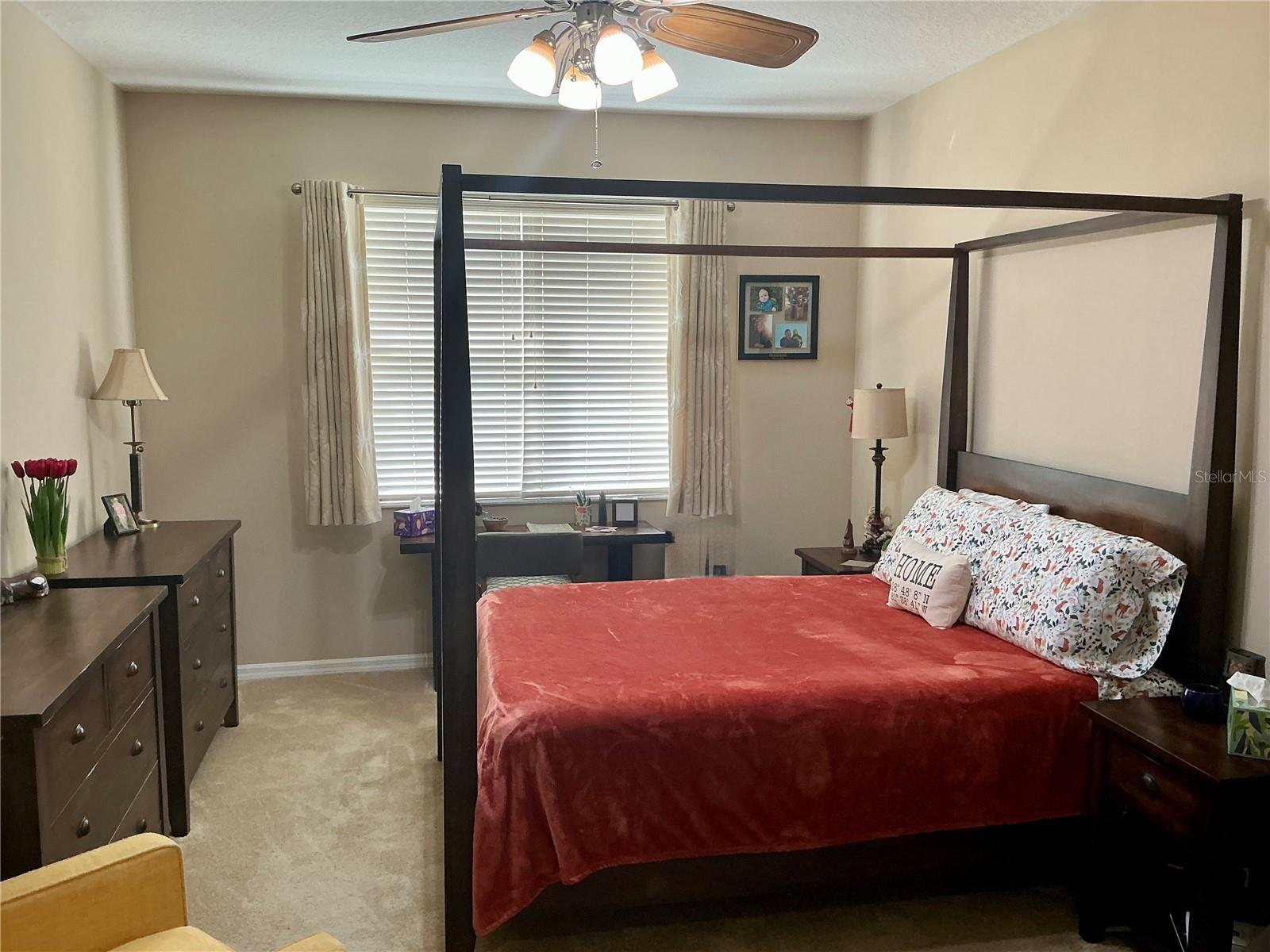 22035 BELGIAN CT, MOUNT DORA, FL, 32757