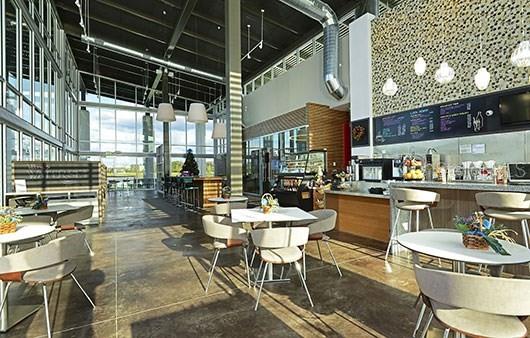 5313 EVERLONG DR, APOLLO BEACH, FL, 33572