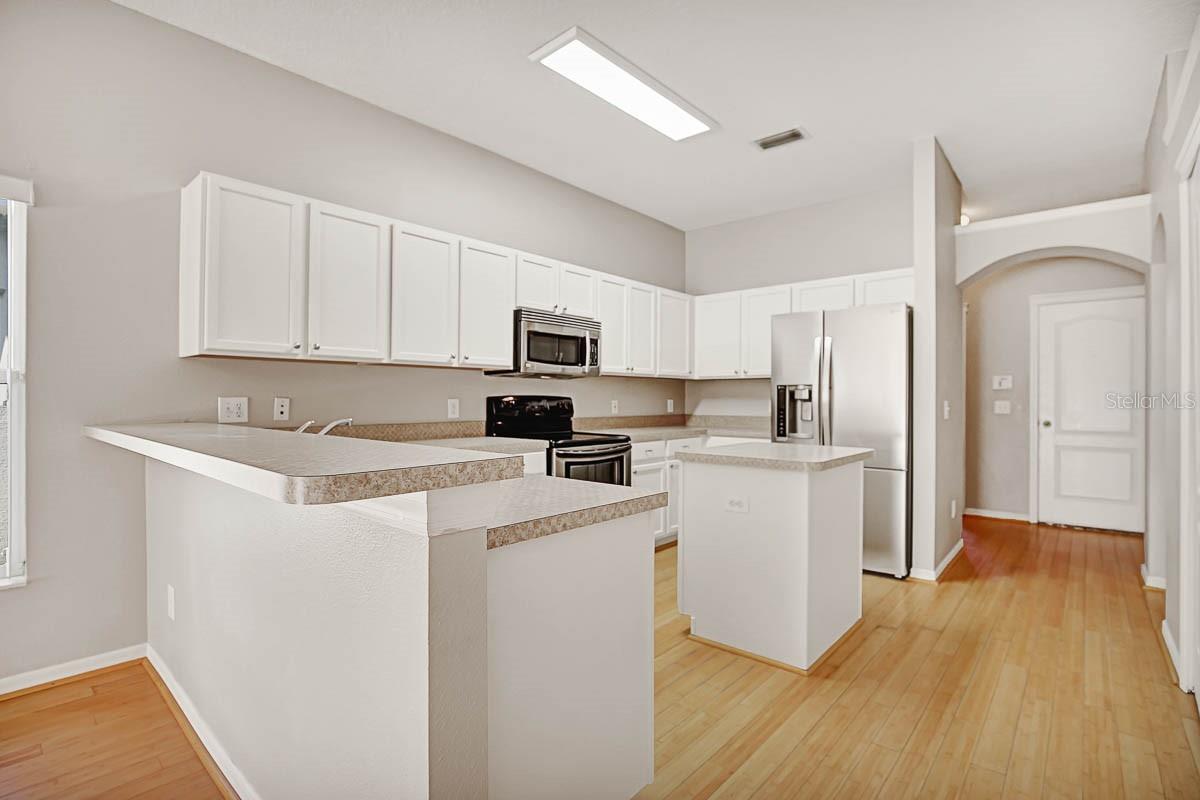 6165 SKYLARKCREST DR, LITHIA, FL, 33547