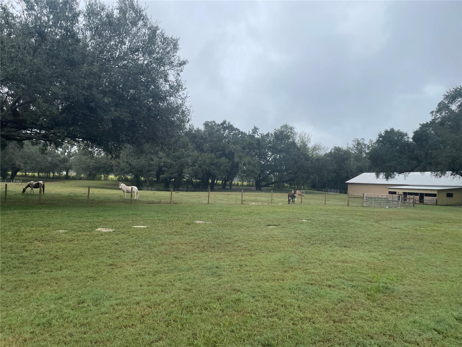 4107 SW STATE ROAD 45, NEWBERRY, FL, 32669