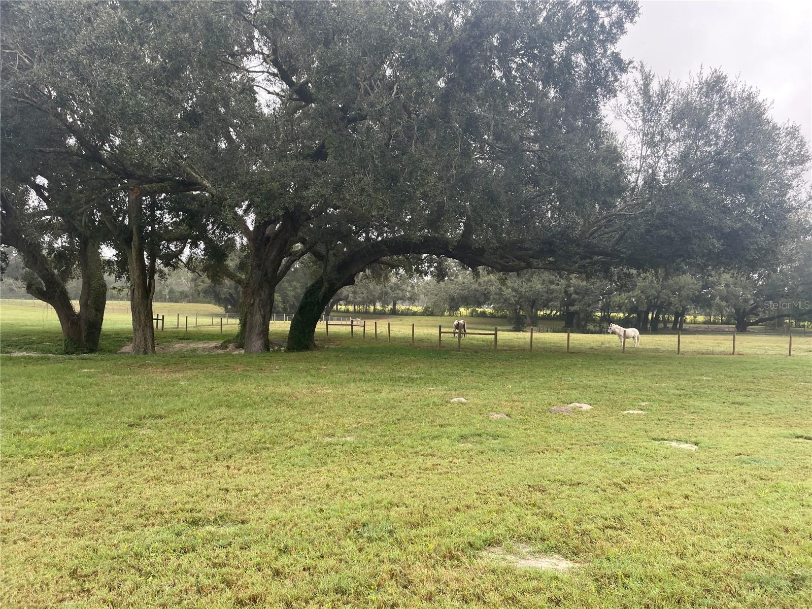 4107 SW STATE ROAD 45, NEWBERRY, FL, 32669