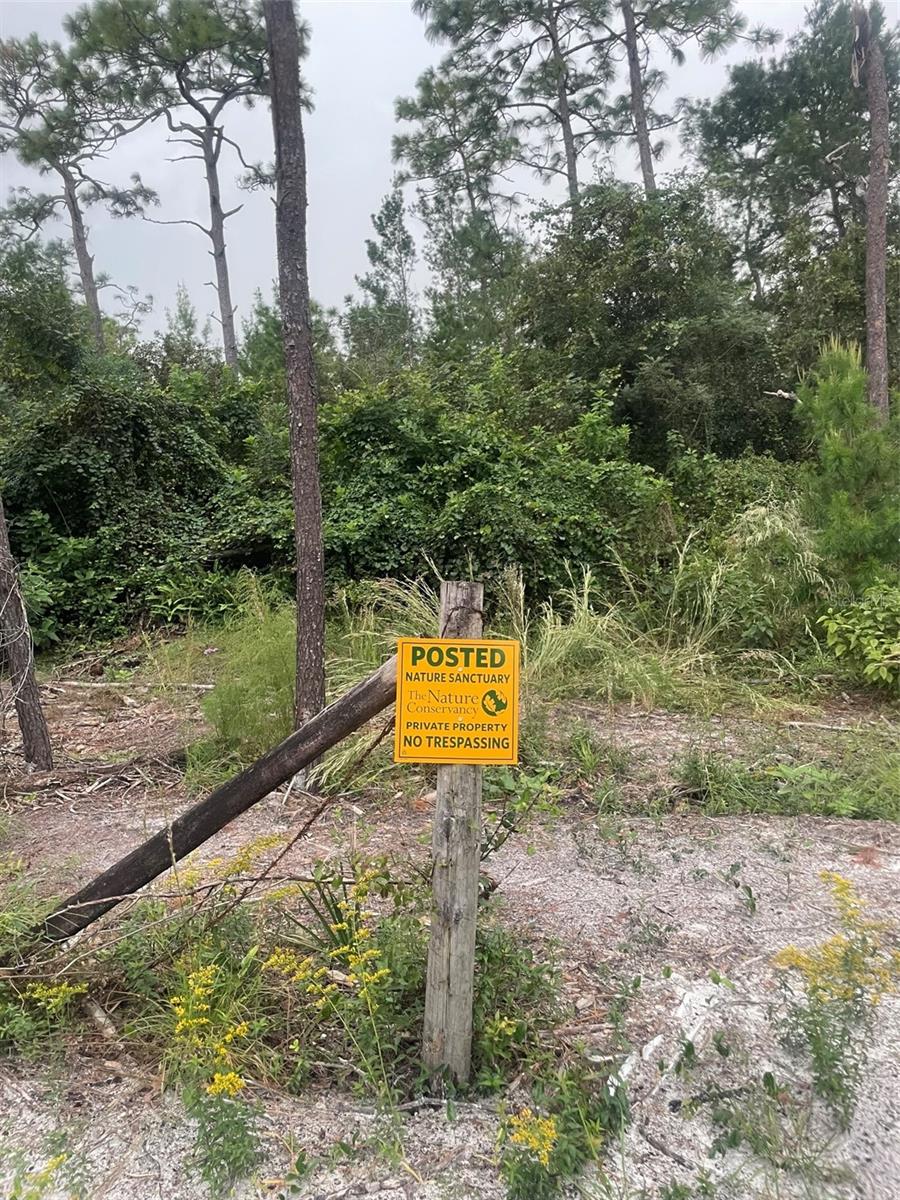 1783 TAYLOR RD, PORT ORANGE, FL, 32128