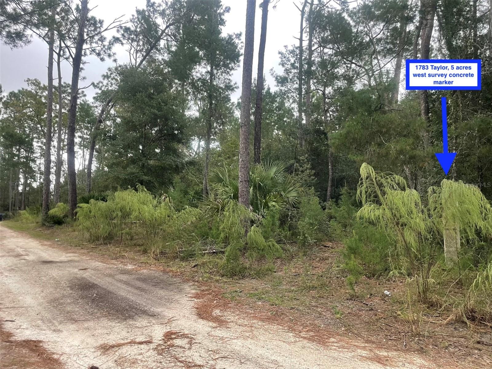 1783 TAYLOR RD, PORT ORANGE, FL, 32128