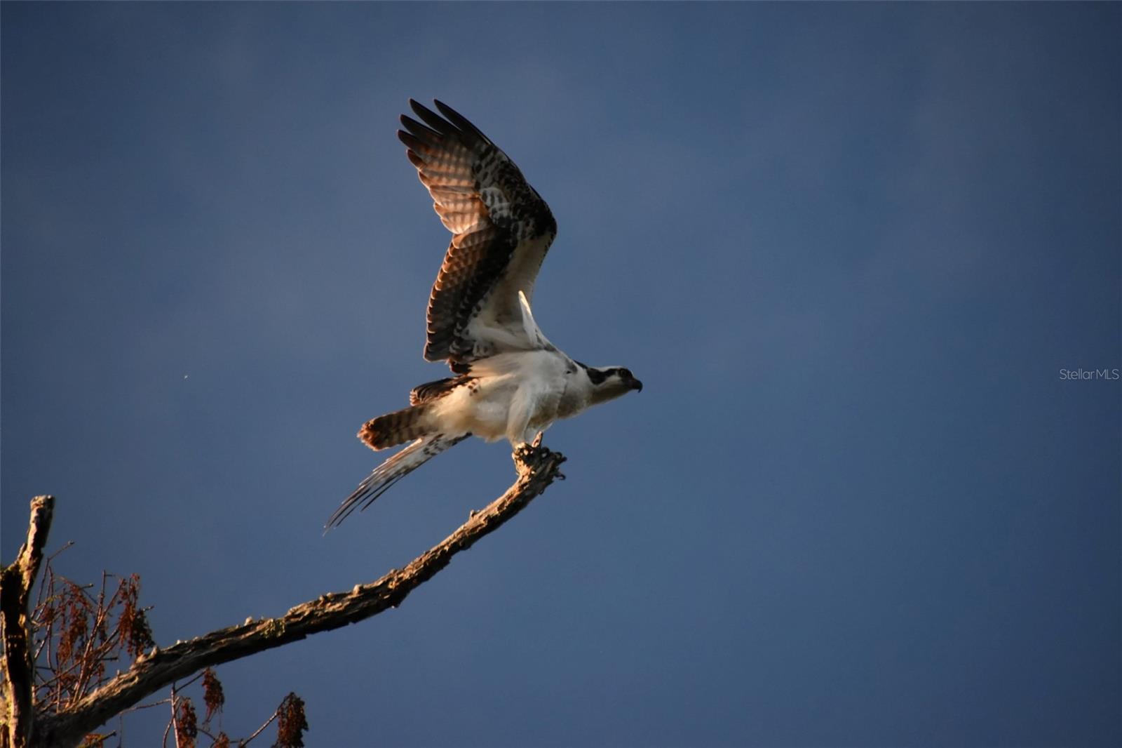 1783 TAYLOR RD, PORT ORANGE, FL, 32128