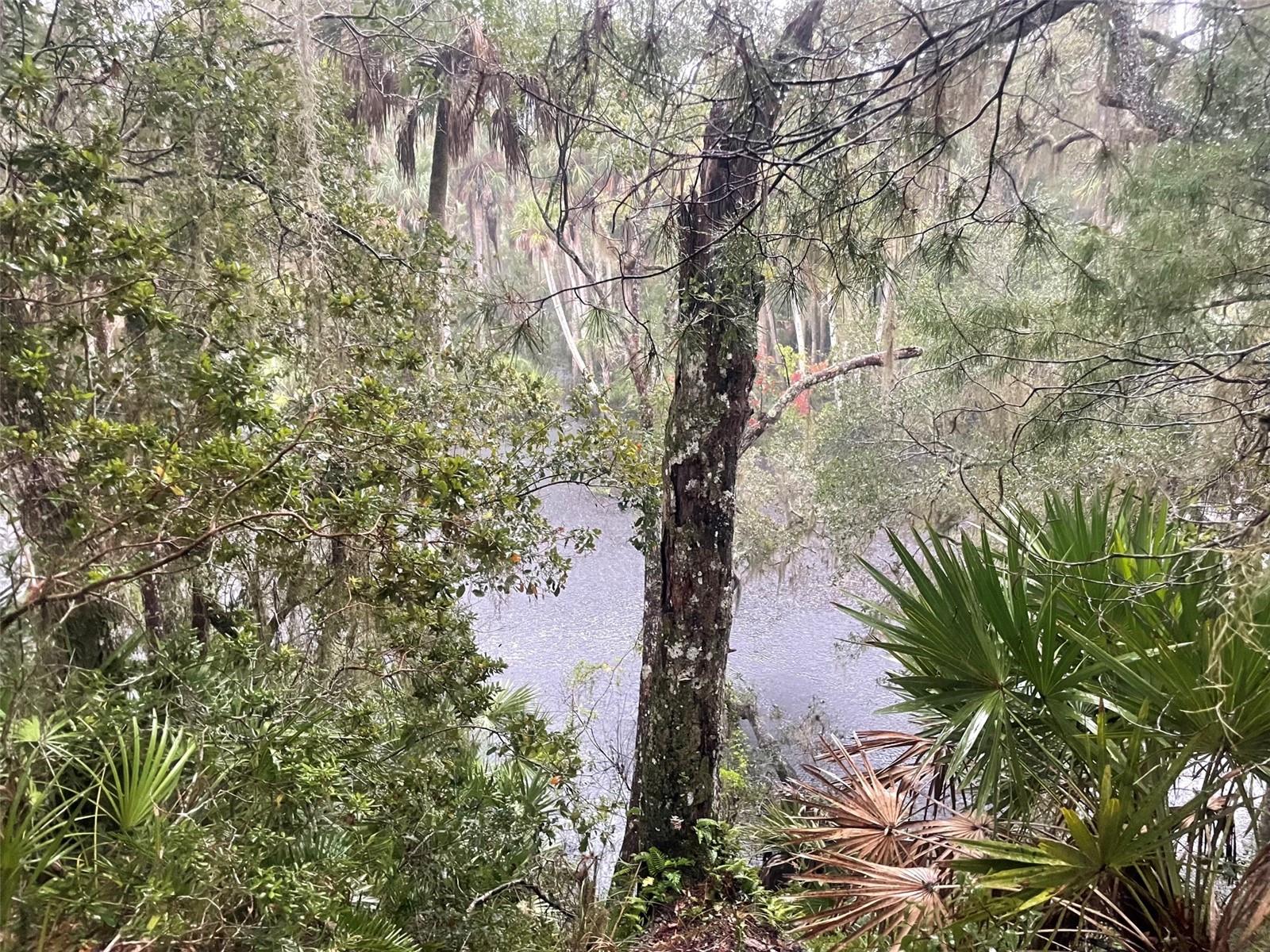 1783 TAYLOR RD, PORT ORANGE, FL, 32128