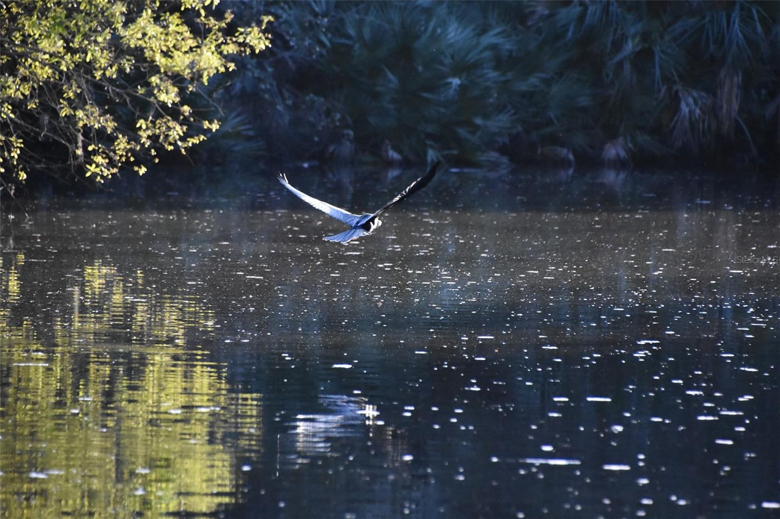 1783 TAYLOR RD, PORT ORANGE, FL, 32128