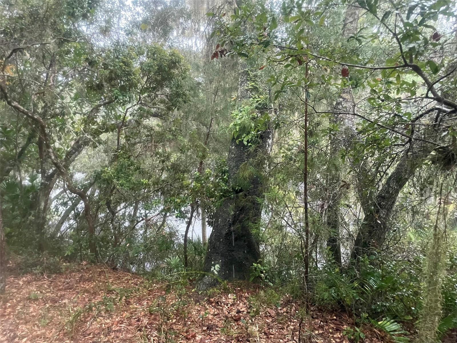 1783 TAYLOR RD, PORT ORANGE, FL, 32128