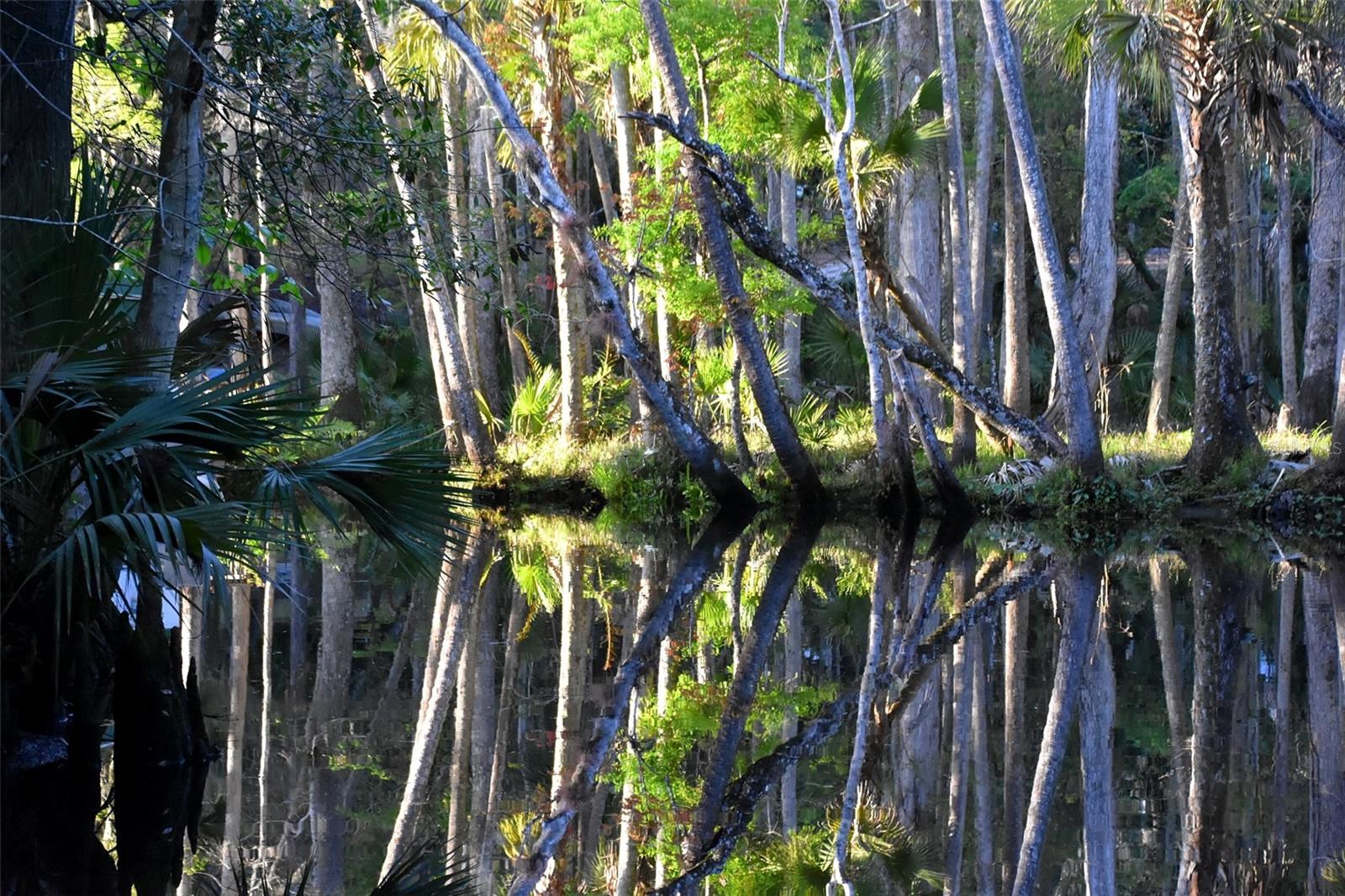 1783 TAYLOR RD, PORT ORANGE, FL, 32128