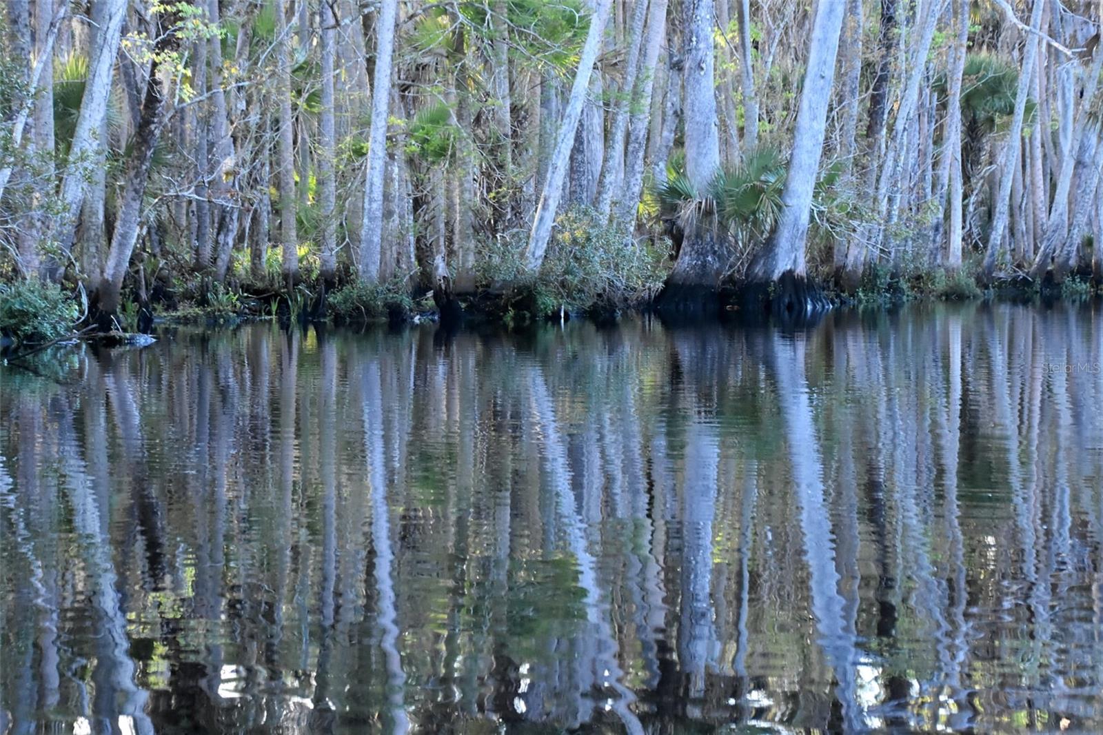 1783 TAYLOR RD, PORT ORANGE, FL, 32128