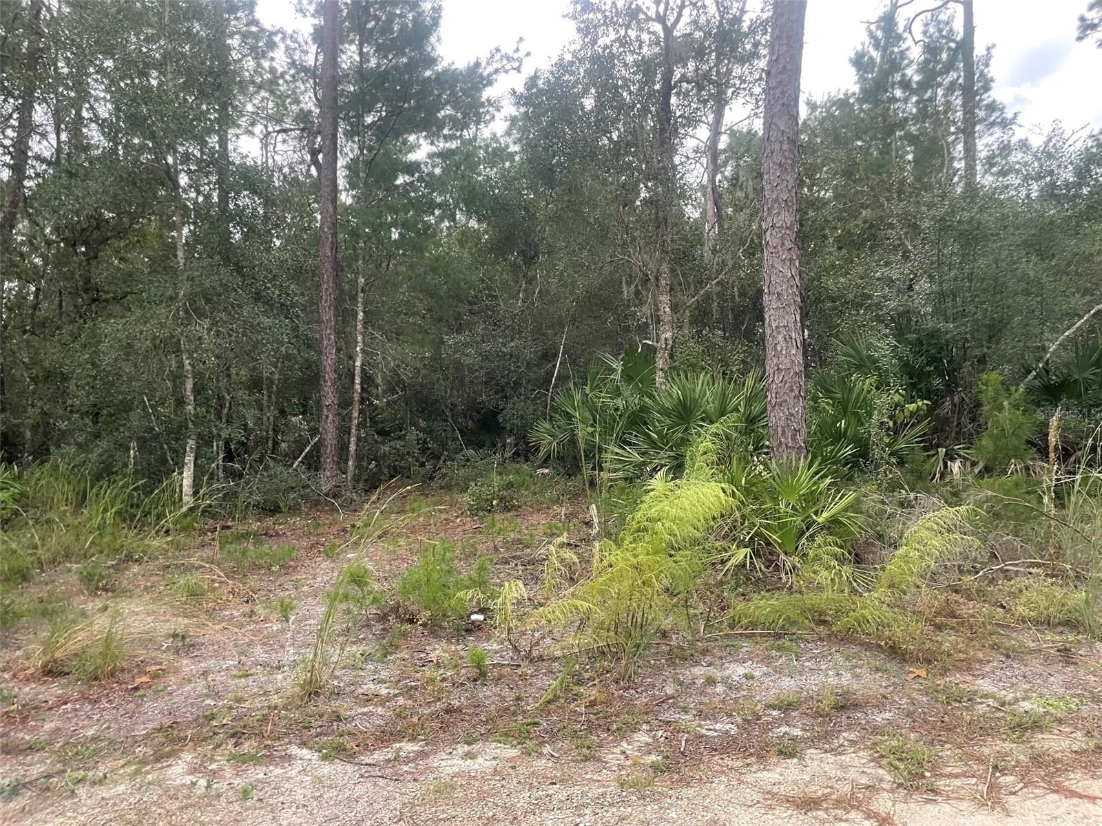 1783 TAYLOR RD, PORT ORANGE, FL, 32128