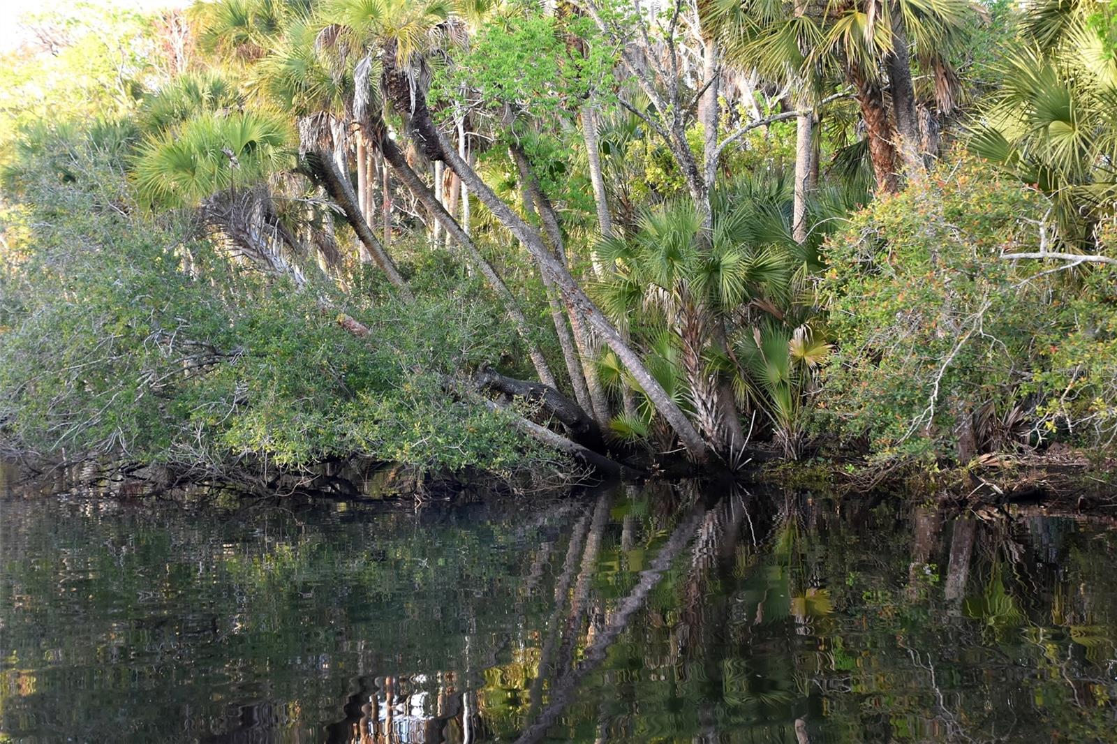 1783 TAYLOR RD, PORT ORANGE, FL, 32128