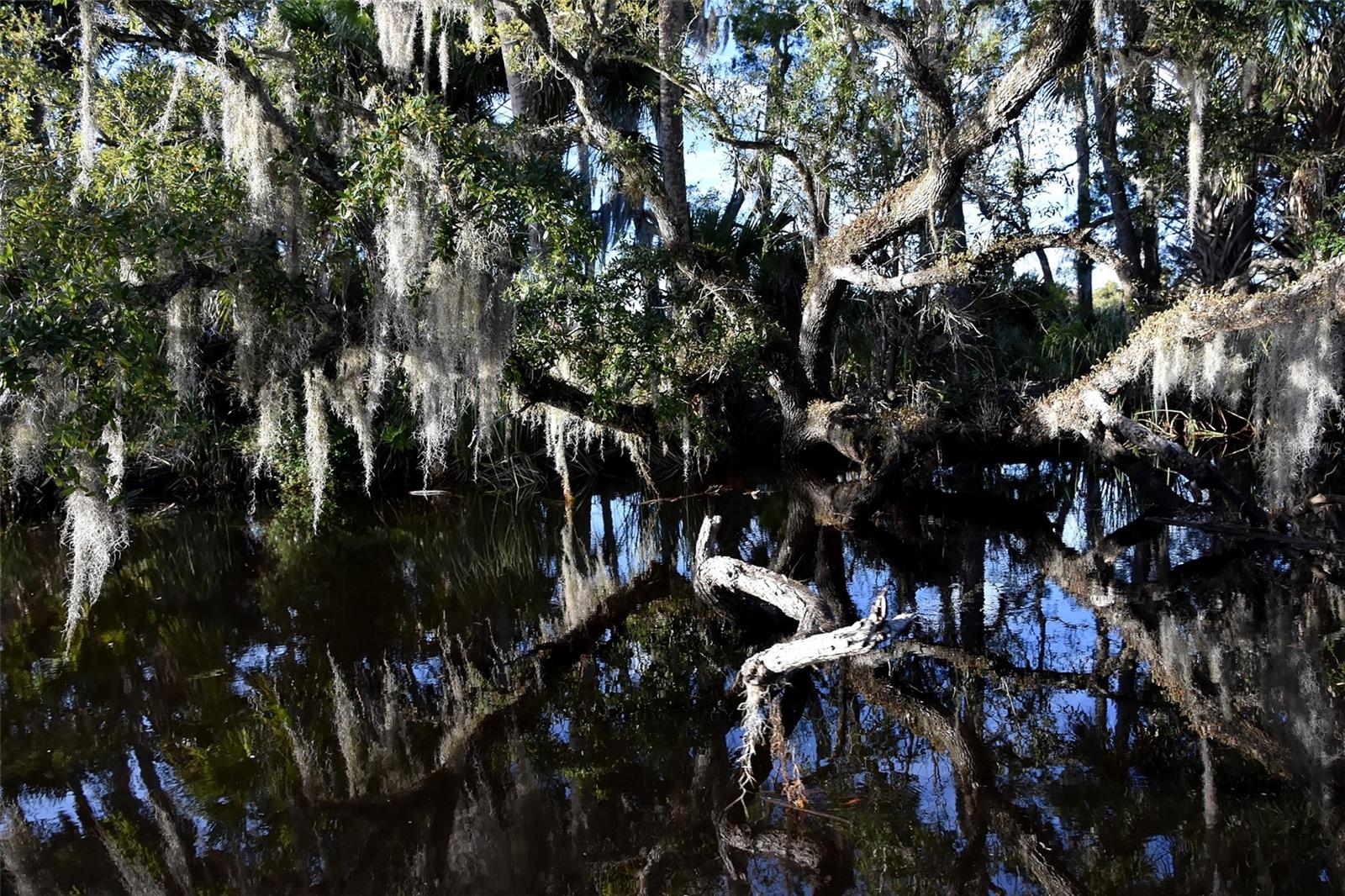 1783 TAYLOR RD, PORT ORANGE, FL, 32128