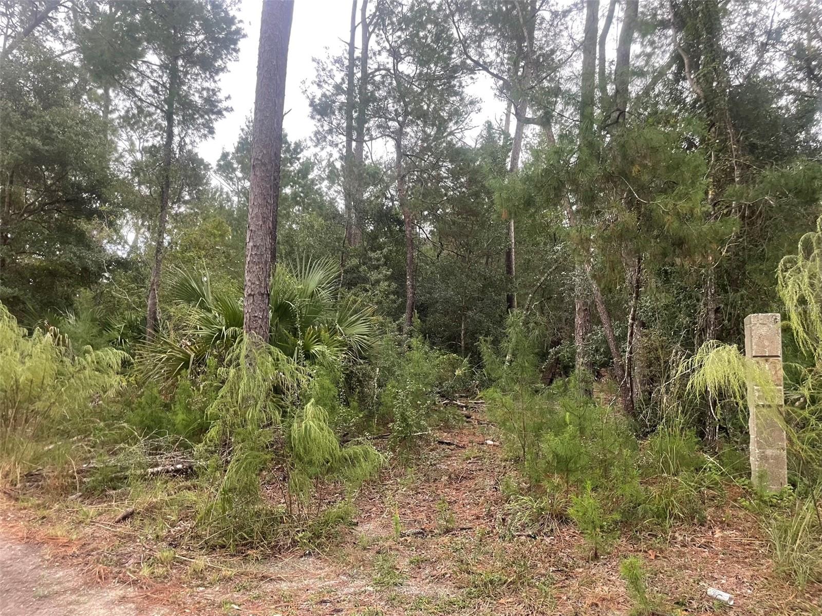 1783 TAYLOR RD, PORT ORANGE, FL, 32128